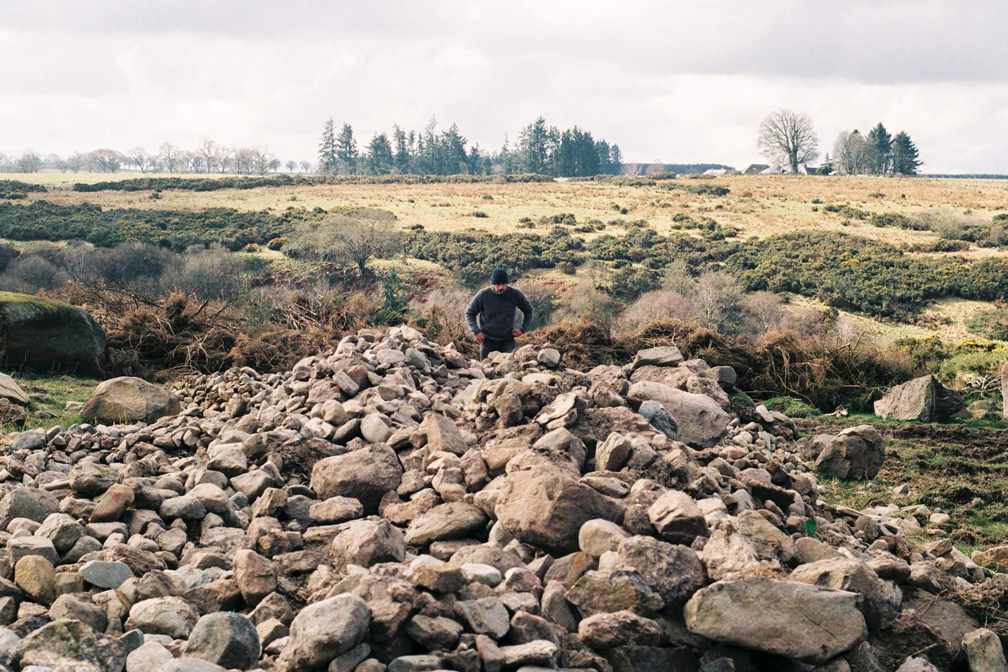 I Walked So You Could Run*  Free Drystone Walling Guide - Download Now.